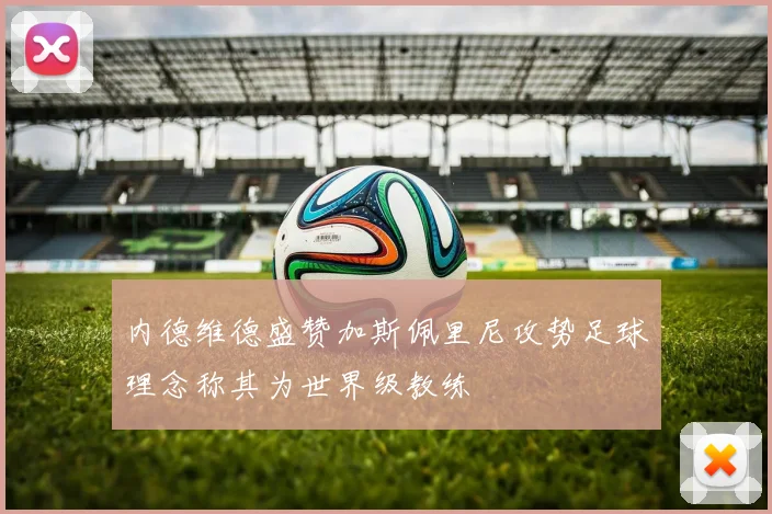 内德维德盛赞加斯佩里尼攻势足球理念称其为世界级教练